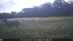 1309 County Road 1895 - Photo 16