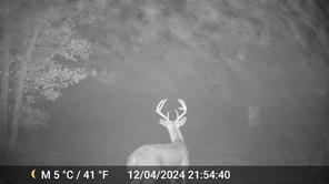 1309 County Road 1895 - Photo 17