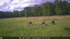 1309 County Road 1895 - Photo 18