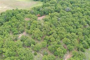 1309 County Road 1895 - Photo 26