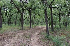 1309 County Road 1895 - Photo 3