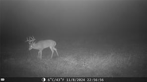 1309 County Road 1895 - Photo 33