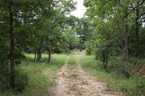 1309 County Road 1895 - Photo 36