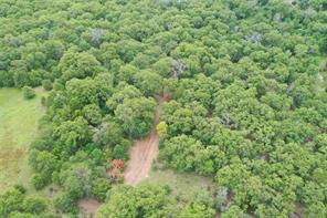 1309 County Road 1895 - Photo 37