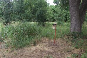 1309 County Road 1895 - Photo 38