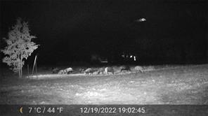 1309 County Road 1895 - Photo 40