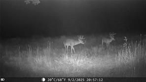 1309 County Road 1895 - Photo 6