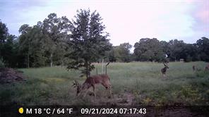 1309 County Road 1895 - Photo 7