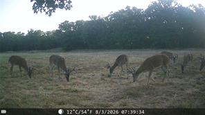 1309 County Road 1895 - Photo 8