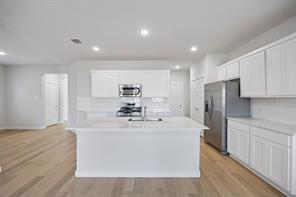 284 Bright Alcove Court - Photo 10