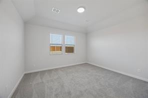 284 Bright Alcove Court - Photo 21