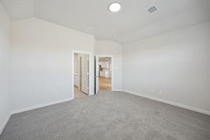 284 Bright Alcove Court - Photo 22