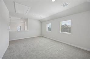 284 Bright Alcove Court - Photo 29