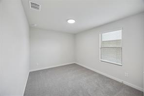 284 Bright Alcove Court - Photo 31