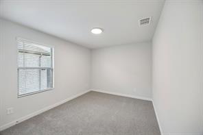 284 Bright Alcove Court - Photo 33