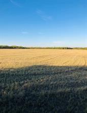 TBD FARM MARKET 142 - Photo 1