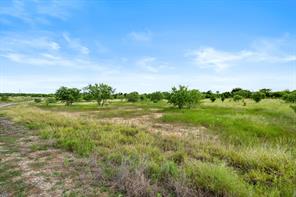 Lot 17 Brazos Valley Road - Photo 1