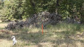 14915 County Road 26 - Photo 3