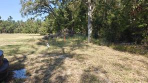 14915 County Road 26 - Photo 4