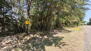 14915 County Road 26 - Photo 5