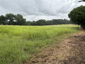 TBD W State Hwy 31 - Photo 15