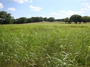 TBD W State Hwy 31 - Photo 18