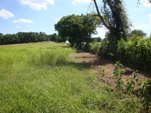 TBD W State Hwy 31 - Photo 19