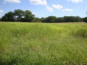 TBD W State Hwy 31 - Photo 20