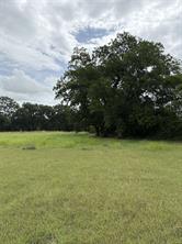 TBD W State Hwy 31 - Photo 6