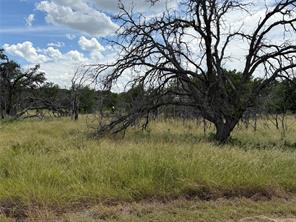 678 Batten Drive - Photo 3