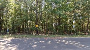 24068 County Road 244 - Photo 2