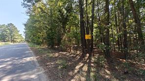 24068 County Road 244 - Photo 3
