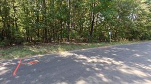 24068 County Road 244 - Photo 4