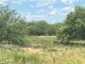 3417 State Highway 67 - Photo 14