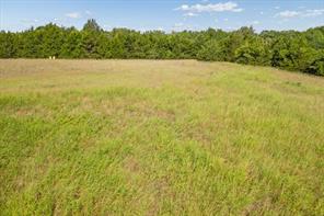 000 Hwy 121 & CR 528 - Photo 12