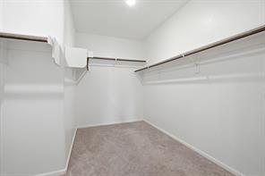 6921 Pampas Place - Photo 21