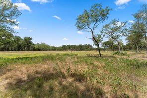 Lot 57 Little Pin Oak Way - Photo 3