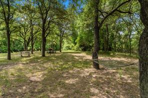 Lot 57 Little Pin Oak Way - Photo 36