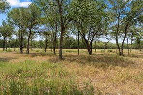 Lot 57 Little Pin Oak Way - Photo 4