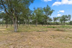 Lot 57 Little Pin Oak Way - Photo 5