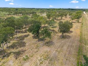 Lot 57 Little Pin Oak Way - Photo 6