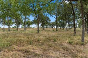 Lot 57 Little Pin Oak Way - Photo 7
