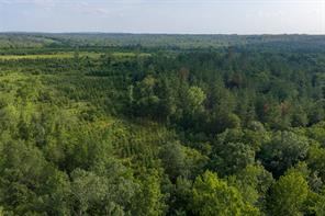 00 County Road 436 - Photo 1