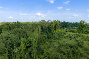00 County Road 436 - Photo 10