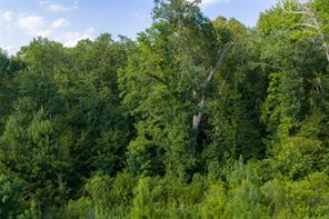 00 County Road 436 - Photo 12