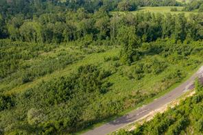 00 County Road 436 - Photo 13