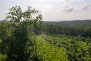 00 County Road 436 - Photo 15