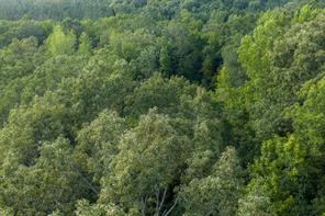 00 County Road 436 - Photo 16