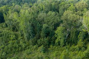 00 County Road 436 - Photo 17