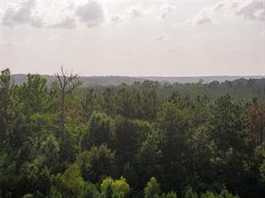 00 County Road 436 - Photo 18